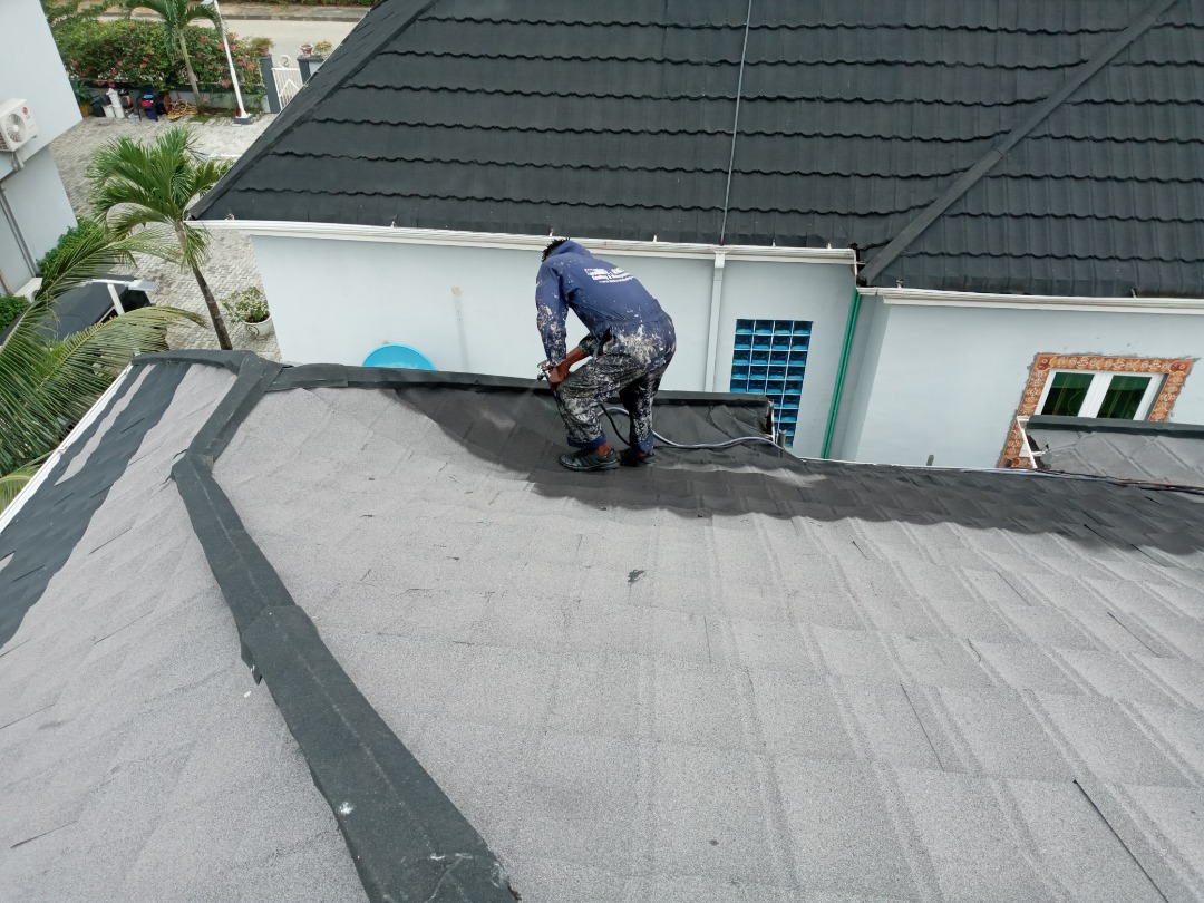Roof Colour Restoration